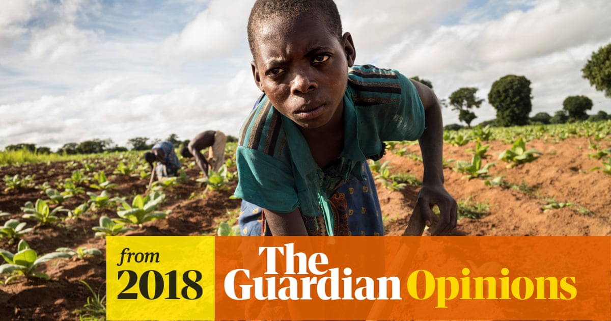 brazil malawi tanzania tobacco production 2026 statistics News has generated more than US$202 million from the sale of 98 million kilograms of during the first twelve weeks of the tobacco marketing season. According to the 2026 The Shifting Political Economy of