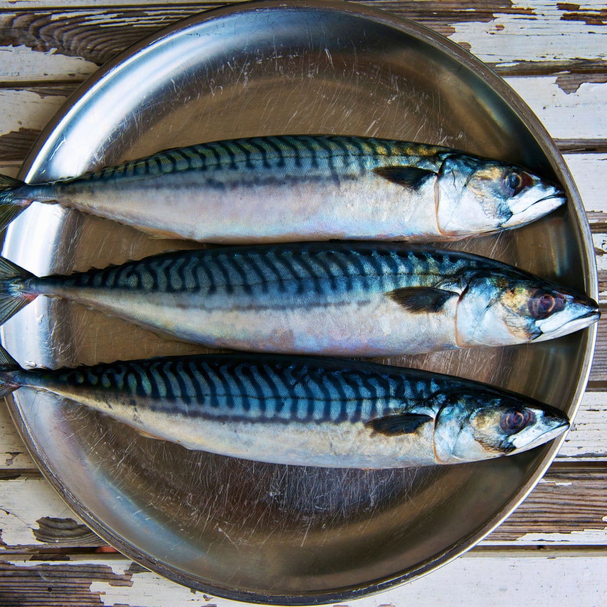 You don't have to be vegetarian to think twice about processed meat. At least eating fish is good for you | Food | The Guardian You Don'T Have To Be Vegetarian To Think Twice About Processed Meat. At Least Eating Fish Is Good For You | Food | The Guardian