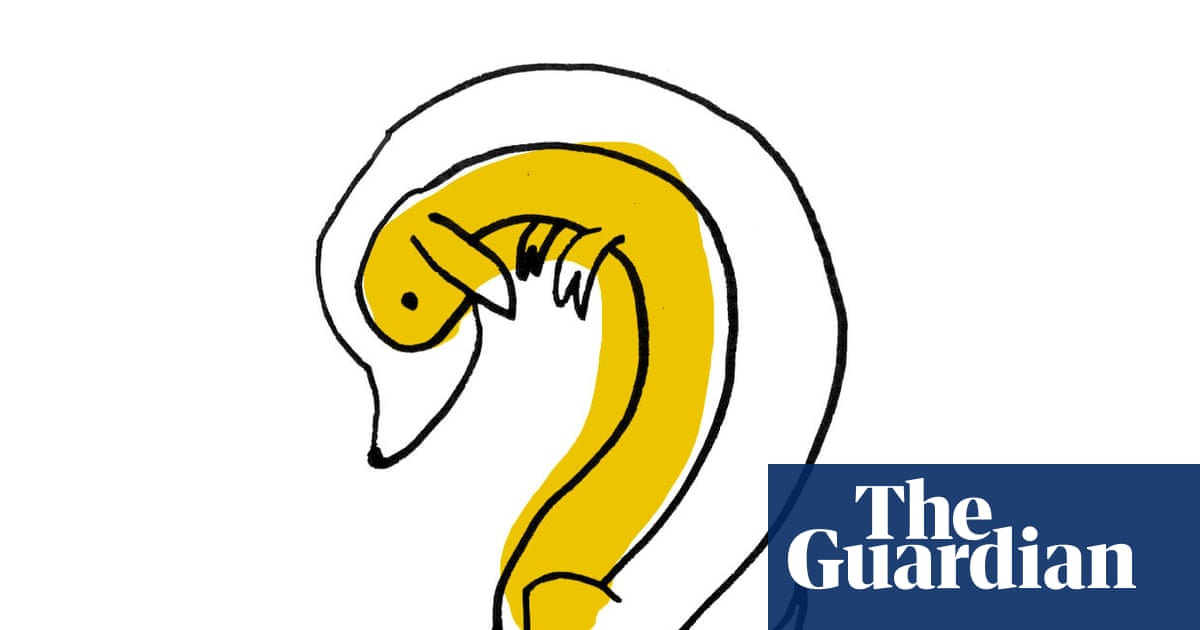 Thursday news quiz: spaceship crews, planning news and who is in a meltdown?