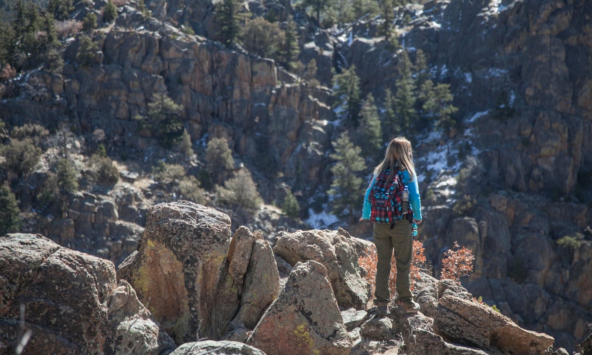 The Treasure Hunters On A Deadly Quest For An Eccentric S 2m