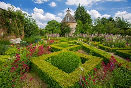Low yew hedges, knot garden, in geometric design with masses of pink and white foxgloves and red valerian under blue sky at Rousham gardens