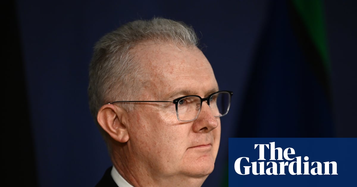 ‘Performative reductions’: Labor MPs and business groups urge Burke against sweeping immigration changes