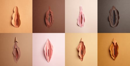 Вагина Everything you ever wanted to know about vaginas … but were too afraid to Google | Women | The Guardian