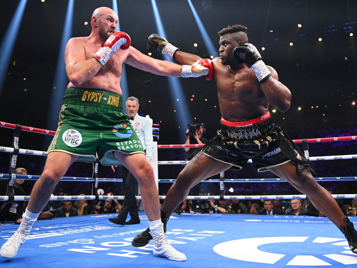 boxer dress next in fashion Next In Fashion (@nextinfashion) Instagram photos and videos