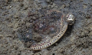 A gold and garnet pendant discovered in Winfarthing, a site with no record of any Anglo-Saxon settlement.