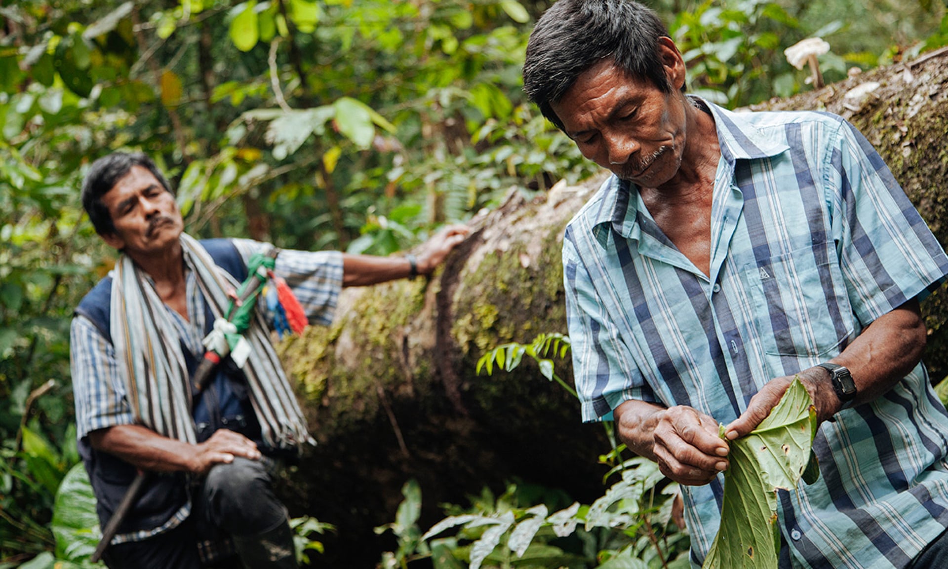 Placido Yaiguaje Payaguaje and his brother Celio at the site where their mother was killed by a land-mine- Photograph: Mateo Barriga Salazar