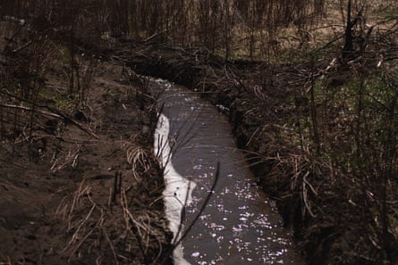 A newly flowing acequia, cleared by Jimmy Sanchez, in Holman, New Mexico.