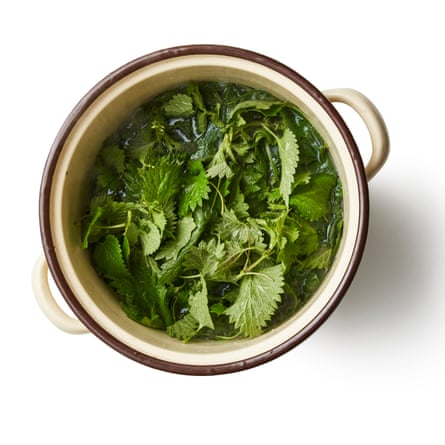 Felicity Cloake’s perfect nettle soup 04a