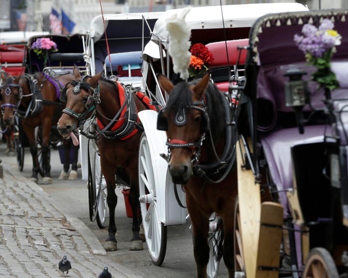 Teenager dies after being thrown from horse-drawn carriage in Central Park