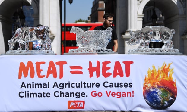 Manifestation contre le changement climatique de Peta, Londres, 7 août 2020