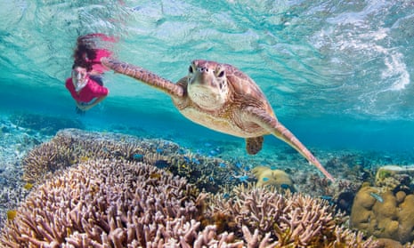 a woman and a sea turtle near Lady Elliot Island, Bundaberg