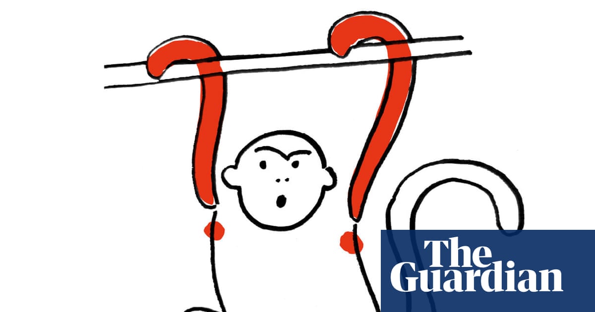 Thursday news quiz: insurance scams, drinking games and errors of biblical proportions