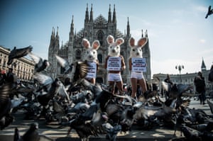 Activists from Peta protest against the use of rabbit fur in the fashion industry in Milan, Italy