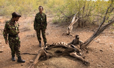 The Black Mambas anti-poaching patrol