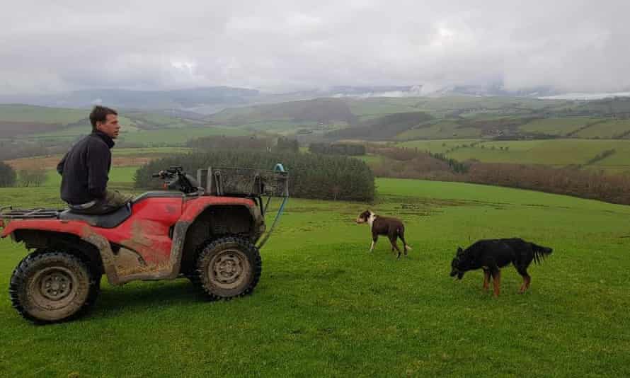 Rhidian Glyn sits on a quad bike looking from a hilltop with two sheepdogs nearby