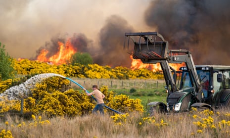 A man pours water from a large hose over yellow gorse bushes as a man looks on from a digger-tractor