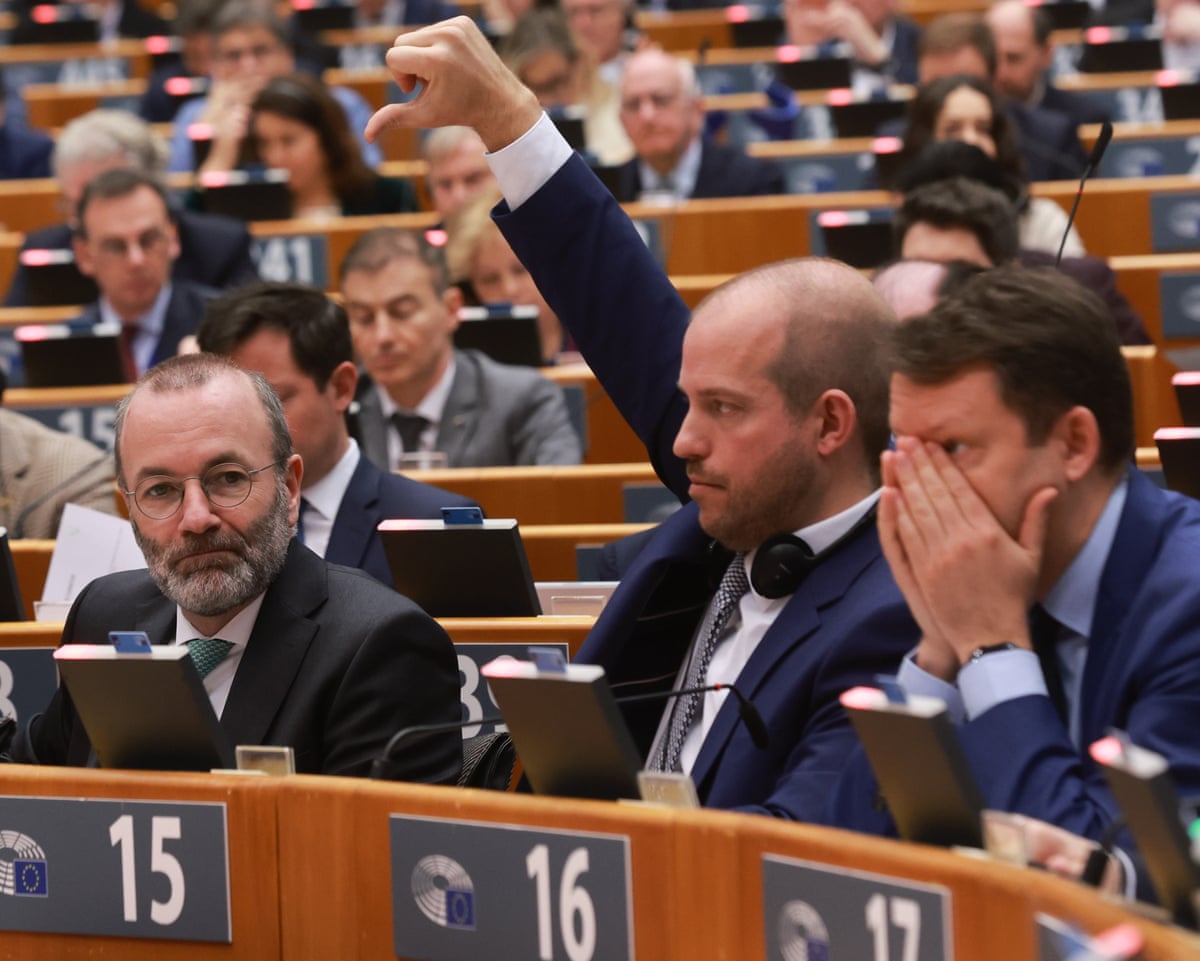 MEPs back plans for 'return hubs', raising fears of 'human rights black holes' | European Union | The Guardian