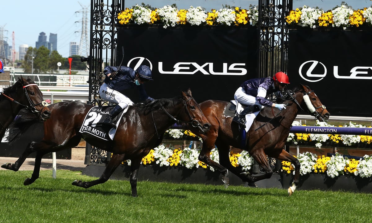 Melbourne Cup 2020 Live Updates Twilight Payment Wins As Anthony Van Dyck Euthanised Sport The Guardian