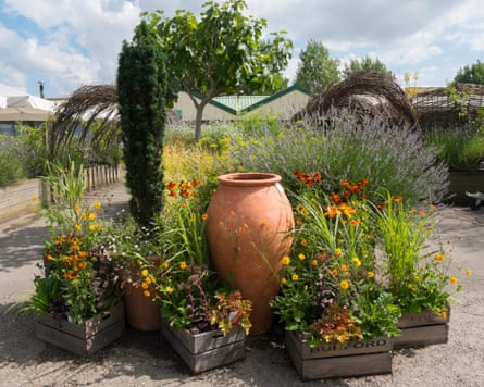 A huge terracotta pot, with price tag, flanked by colour co-ordinated flowers