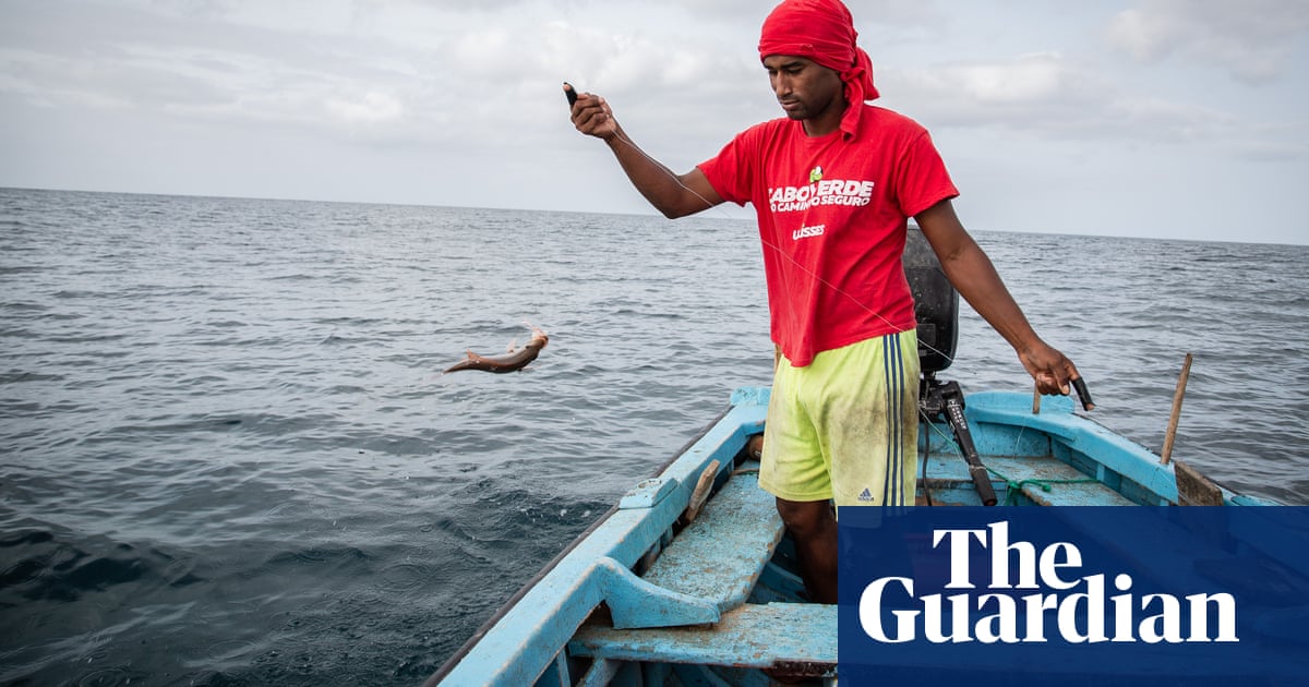 Guardians of the Sea: Cape Verde’s ‘fish detectives’ try to keep extinction at bay