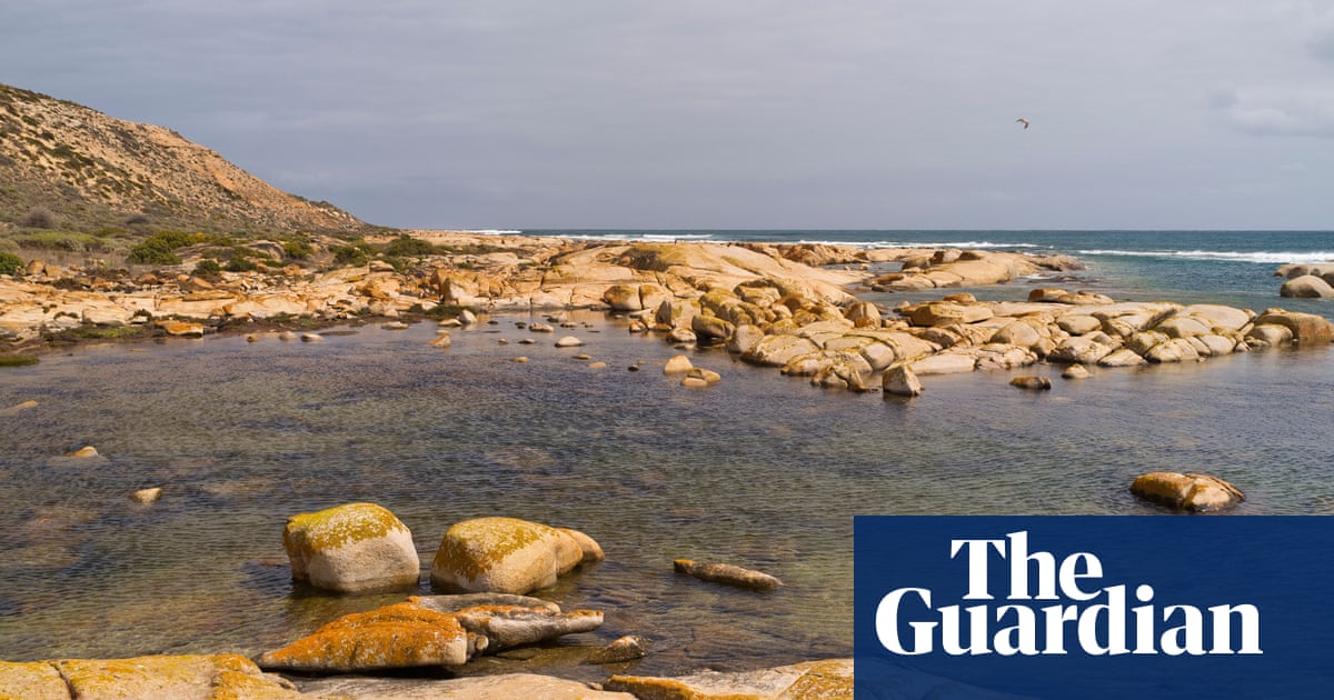 Search under way for body of missing surfer after shark attack near Streaky Bay in South Australia