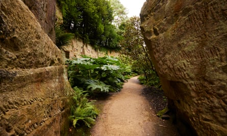 Path going through the quarry garden at Belsay Hall.