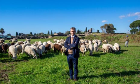Gabriel Zuchtriegel, the director of the Pompeii archaeological park, with the sheep