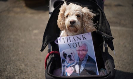 Dog with poster of Paul O’Grady