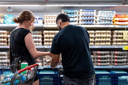 two group guidelines successful beforehand of shelves of eggs