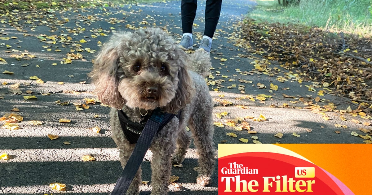 Am I walking my dog all wrong?