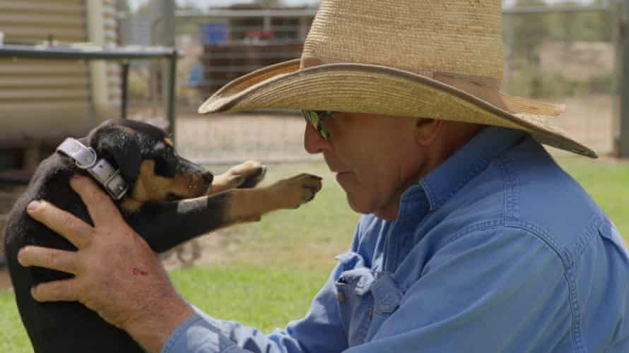 Frank Finger avec le chiot Annie dans Muster Dogs.