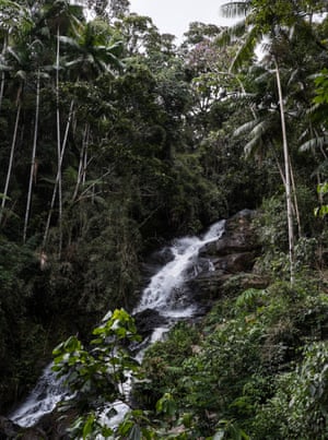 POUSO DE ROCHEDO, BRAZIL - MARCH 04, 2017: A skyfall in the Pouso de Rochedo forest that Antonio Vicente has reforested, bringing life back to an area that was razed for cattle grazing.