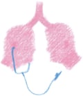 the silhouette of a doctor and patient forming a pair of lungs