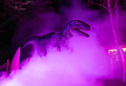 A life-sized dinosaur model looms through purple-lit fog at a night-time zoo event