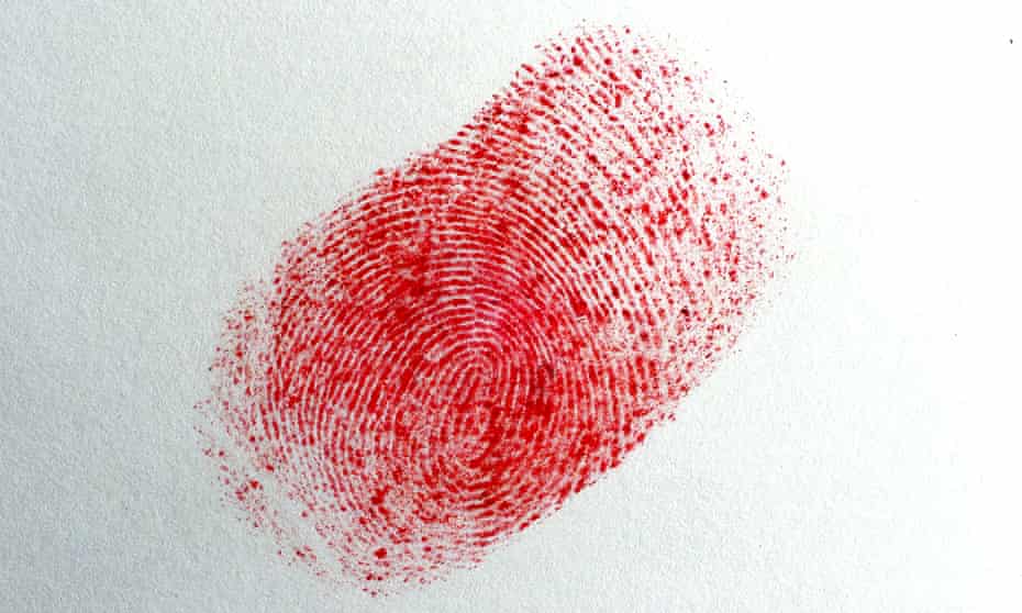 A fingerprint identity identification crime
