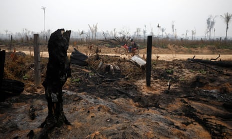 Burned-out jungle in Boca do Acre
