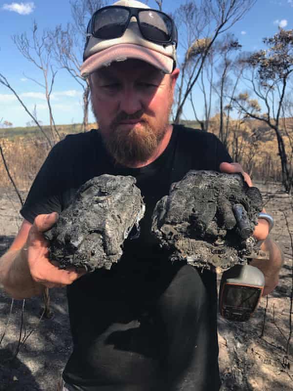 Verbrannte Wildtierkameras auf Kangaroo Island