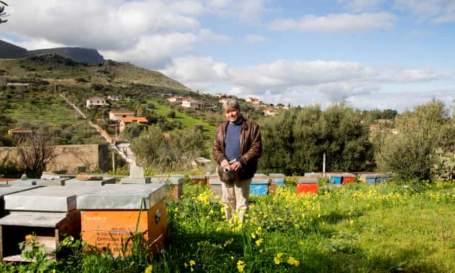 Carlo Amodeo stands in a field next to his beehives