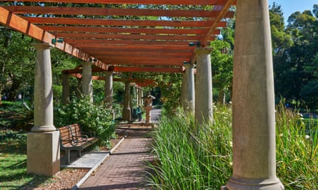 A trellised walkway in The Company Gardens on a sunny day in Cape Town, South Africa.