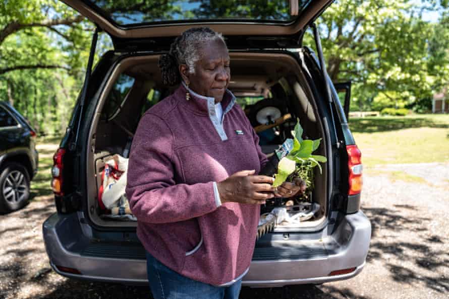 A woman stands in front of an open SUV and holds a potted herb in her hand