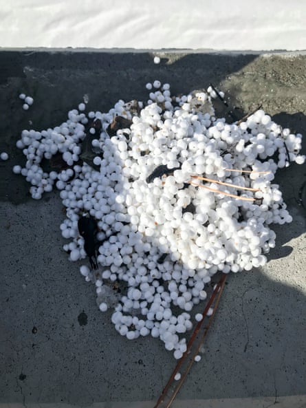 Numerous little white spheres on concrete.