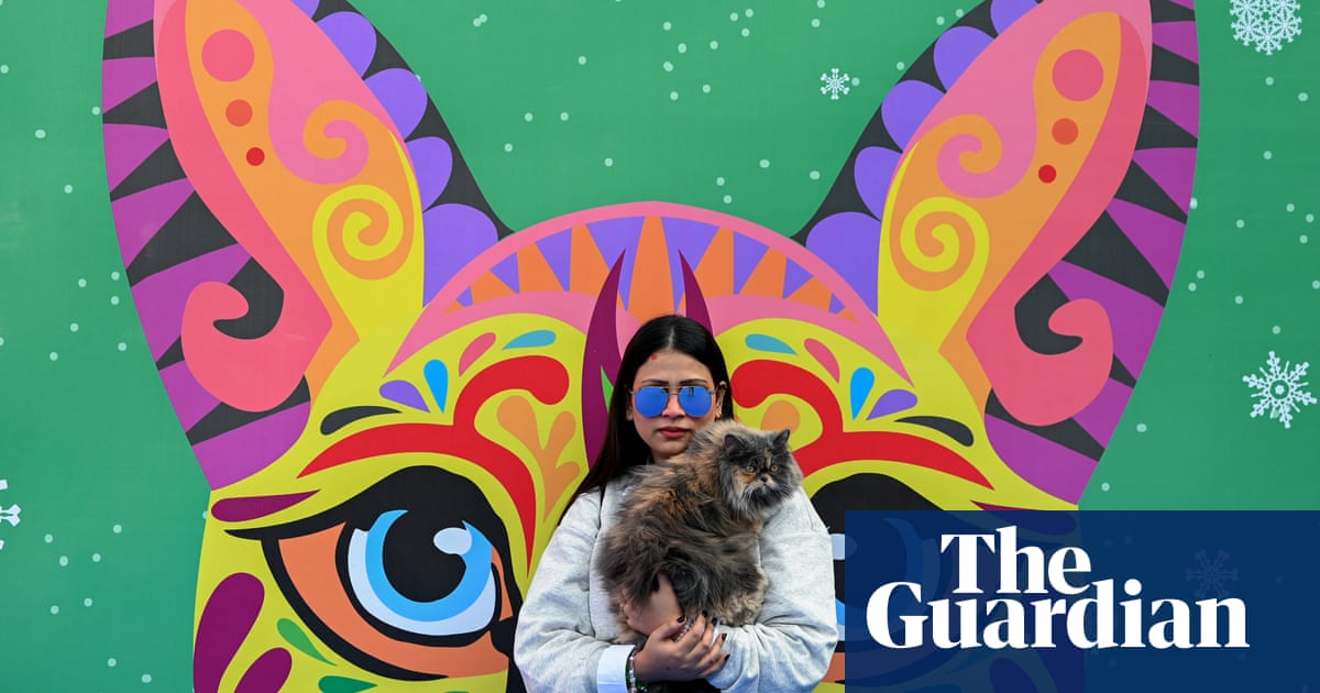 Emine SanerКато вид хората са доста обсебени от котките Това