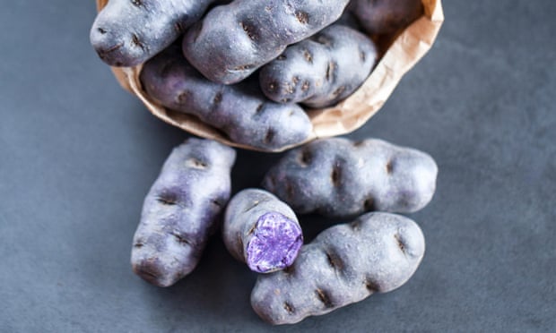 The colour purple: the Vitelotte variety of gourmet French blue-violet potato.