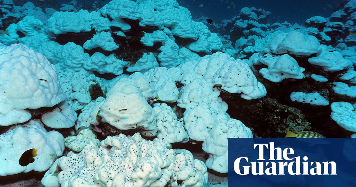 Great Barrier Reef envoy Warren Entsch urges fellow Liberal MPs to do more on climate change - The Guardian