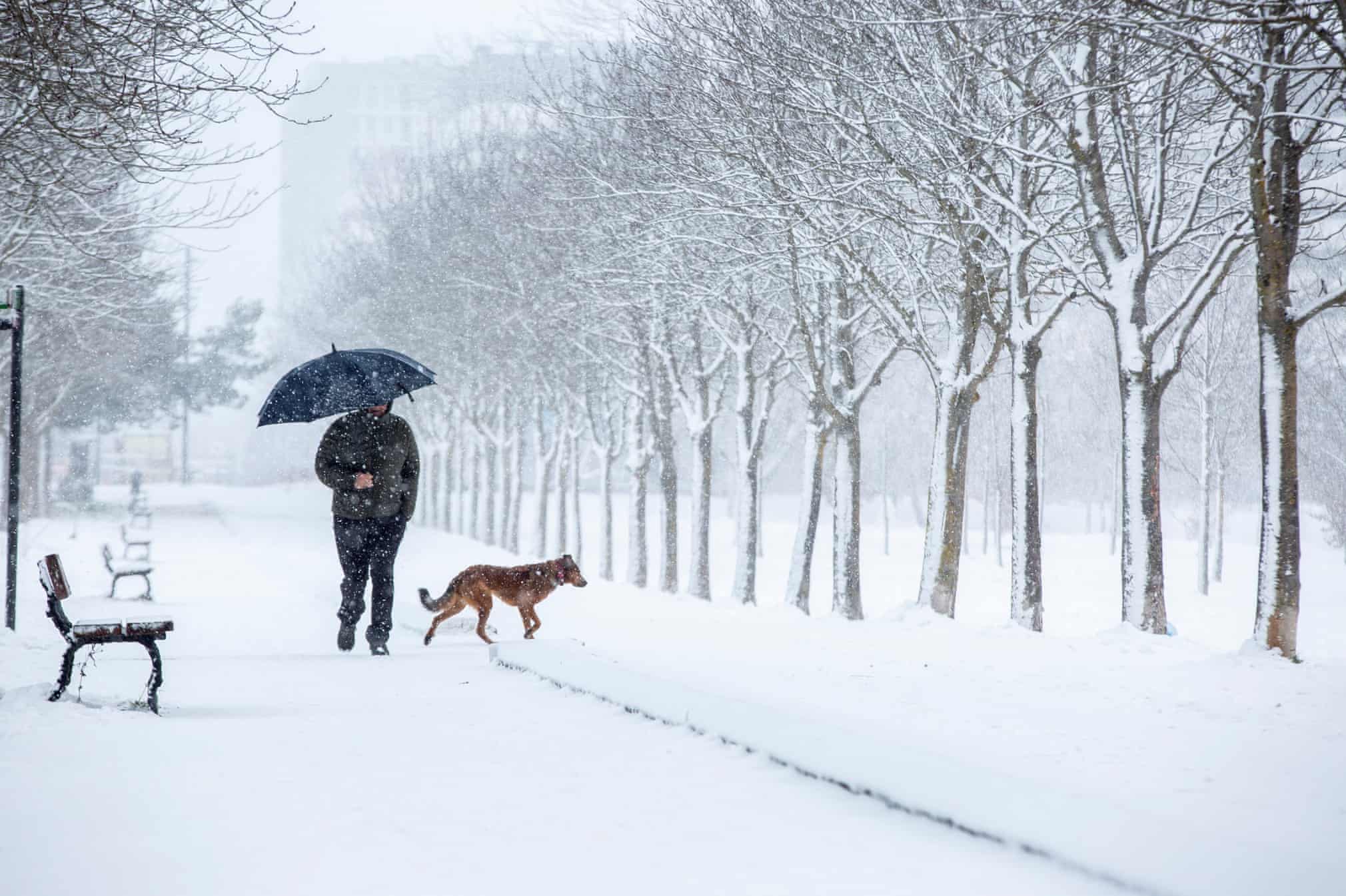 Guardian photos of the day. - Page 27 5760