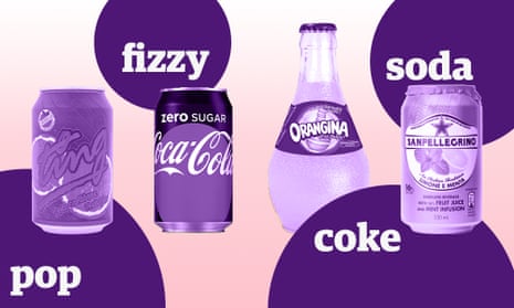 soda, pop, coke or fizzy drink?
