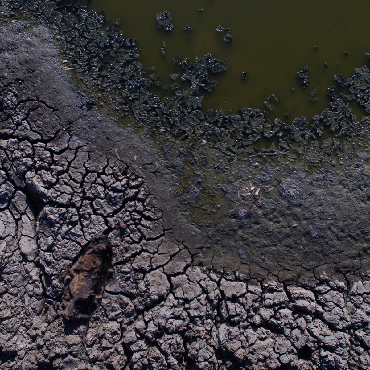 The Only Thing As Certain As Drought In Australia Is The Stupid Call To Build New Dams Maryanne Slattery Opinion The Guardian
