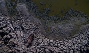 A dam near Booligal NSW