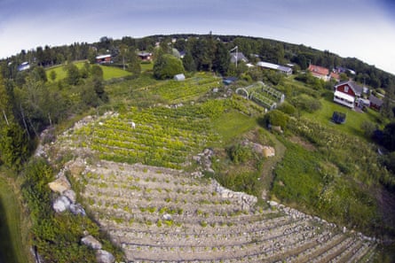 Longer drier summers are boosting the Nordic wine industry