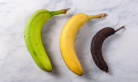 Process of ripening for banana showing a fresh green to yellow banana on left, an optimal ripened yellow banana in middle and a stale banana that turned brown